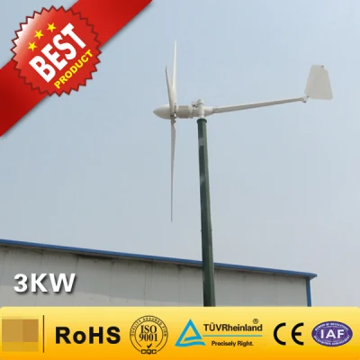 3 kW Heimgebrauchs-Windkraftanlage/Windkraftgeneratorsystem (3000 W)