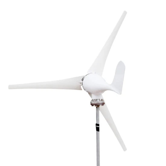 Großhandel Haushalt Weiß 100W 200W 300W Wind Turbine Wind Power Generator Marine Wind Generatoren